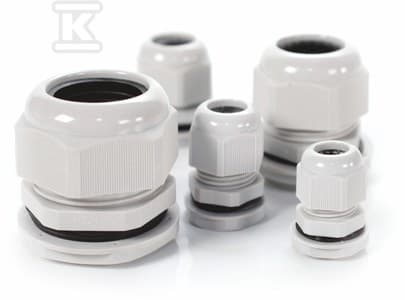 PG-36 IP68 FÖR PATRON (22-32MM) FÖRPACKNING=1ST
