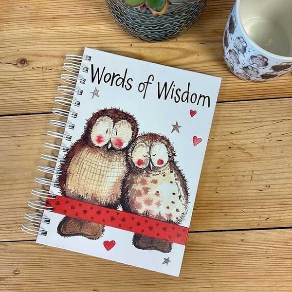 Pyörätuoli A5/100K SJ03 Wise Owls TW