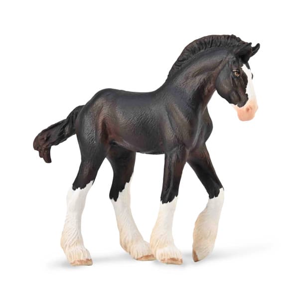 Zrebie Clydesdale sort hingst 88982 COLLECTA