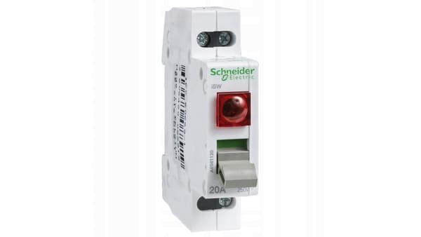 iSW-stik med indikator - 2-polet - 20A - 250 V A9S61220