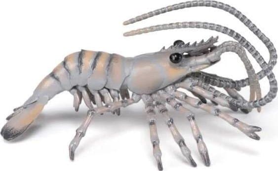 Räka