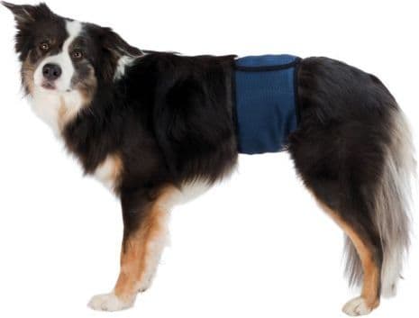 Trixie PAMPAS TIL HUNDE MARINEBLÅ \"S\" 29-37cm