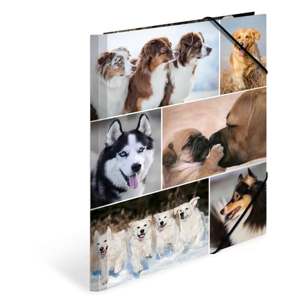 Herma elastikmappe pap A4 hund