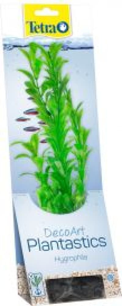 Tetra Decoart Plante L Hygrophila