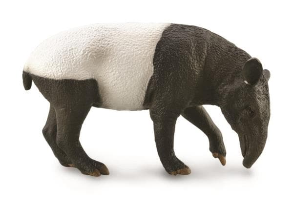 Malajisk tapir