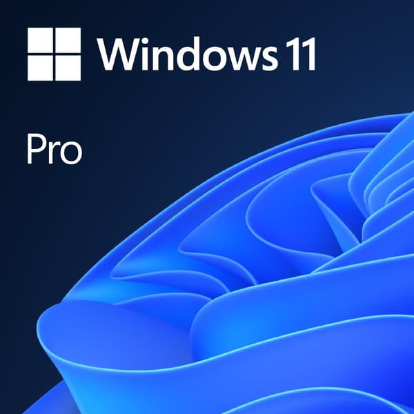 Microsoft OEM Win 11 Pro 64Bit Engelsk 1pk DSP OEI DVD