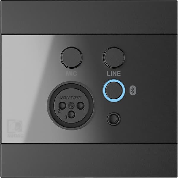 AUDAC WP225/B - Väggpanel svart