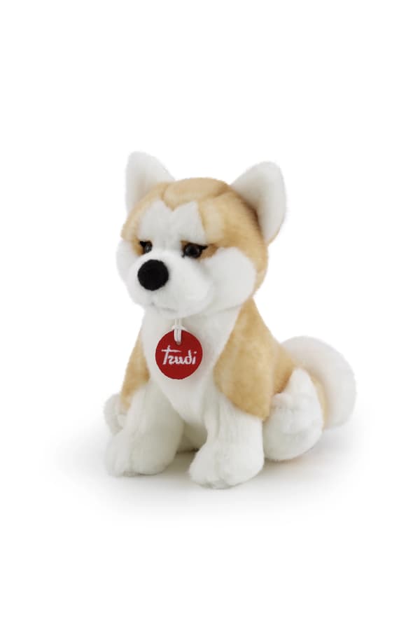 Sevi TRUDI KOIRA AKITA ASCANIO (S)