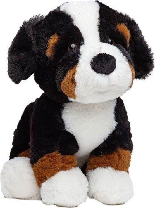 Berner Sennenhund 30 cm