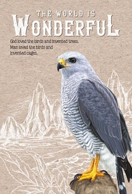 Dekorativ notesbog 143x210 64K gitter TW Sokól