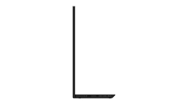 Lenovo ThinkVision M15 mobil skærm