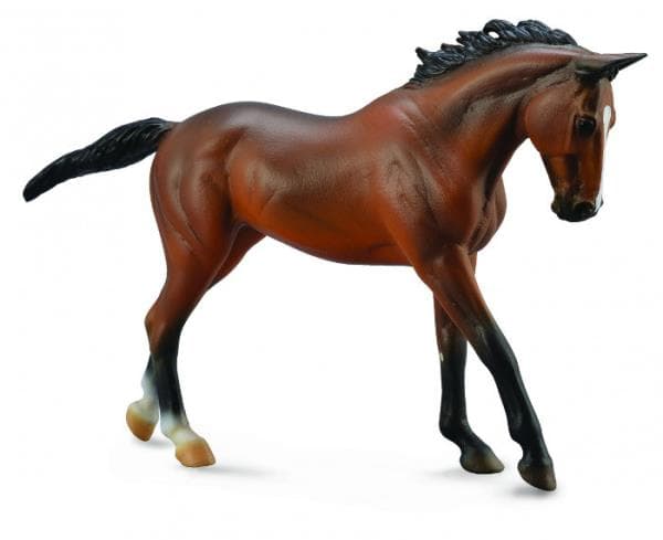 Fullblodshingst - Nits 88634 COLLECTA