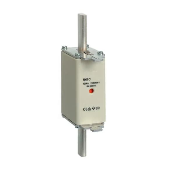 Industriel træg sikringsindsats WT-1C/GG 125A K