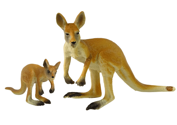 Kangaroo-hahmosetti poikasen kanssa