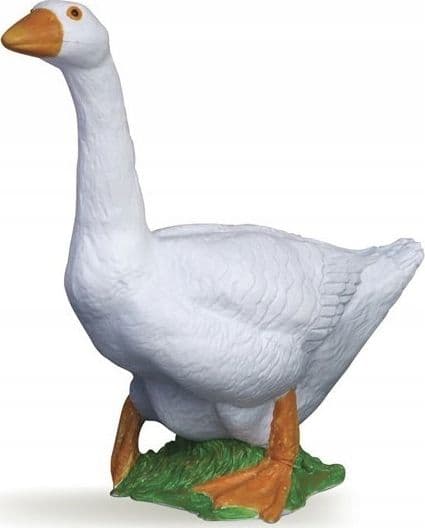 Ges