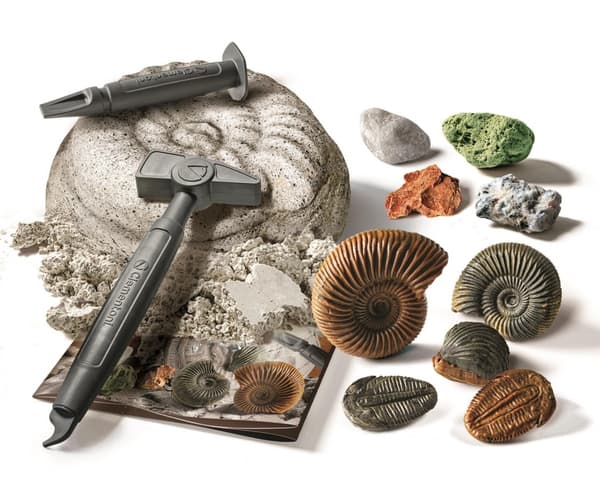Fossiler och mineraler