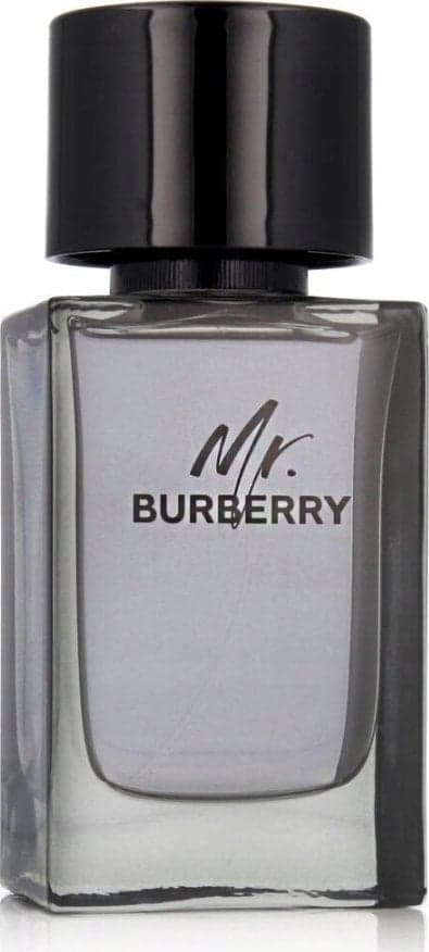 BURBERRY Mr. Burberry EDT spray 100ml