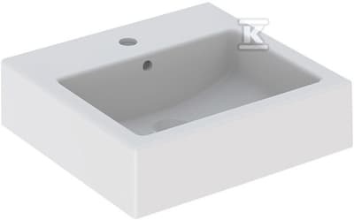 VASK.TWINS 50X46CMZ SKÅL SIMPLEX.Z/OTW.