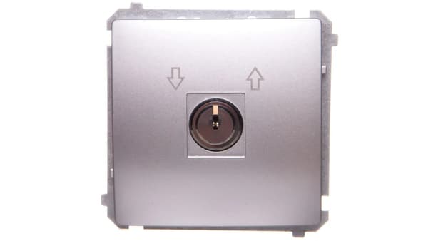 Kontakt-Simon Basic stik til nøgle 5A 250V sølv mat (BMPZK.01/43)