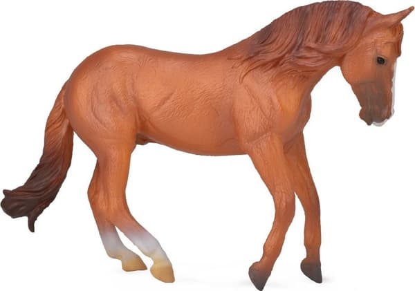 Collecta Hingst Australsk Stock Figur (004-88712)