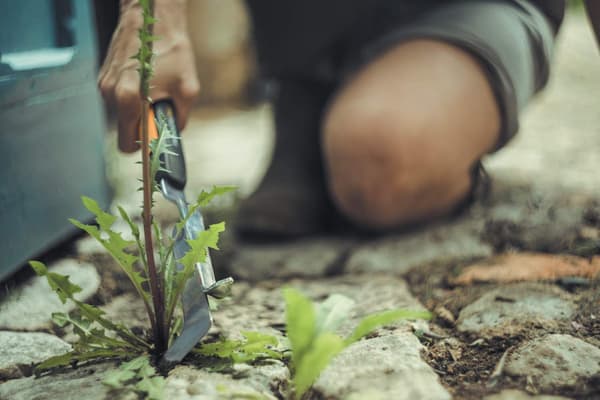 FOGSKRAPA LITEN Xact™ FISKARS