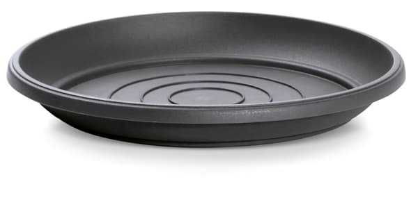 TERRA STAND - ANTRACIT