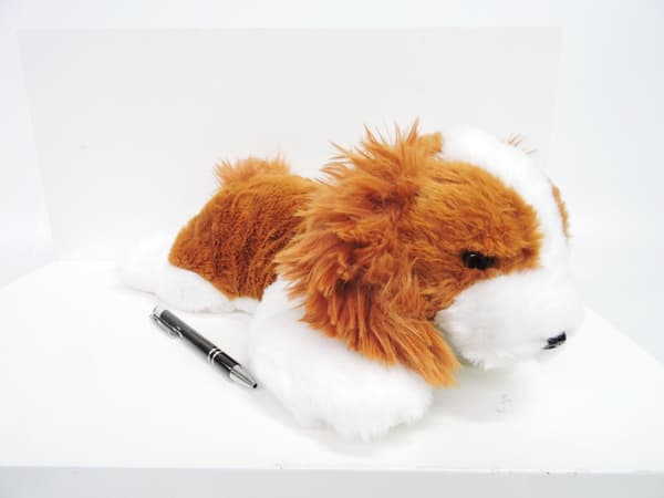 Maskot Cavalier Hund 35 cm