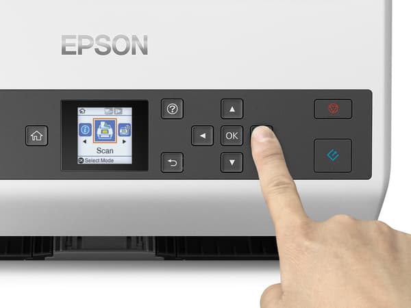 Skanner Epson B11B250401