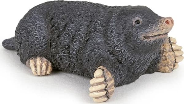 Mole