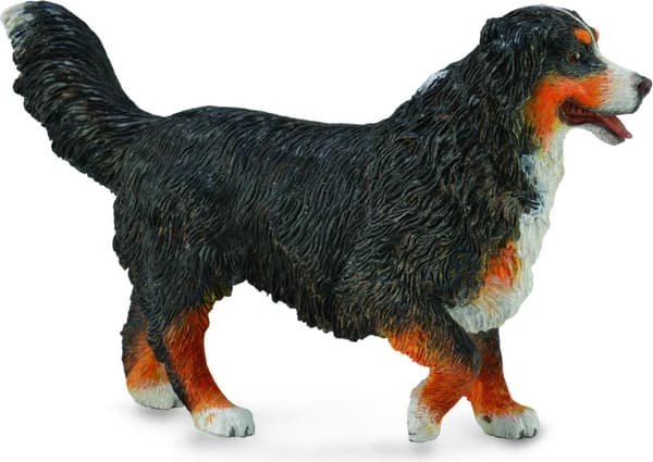 Berner Sennenhund (L) 88801 COLLECTA