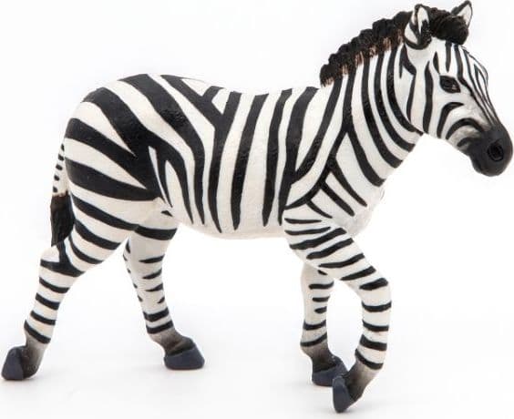Zebrahane