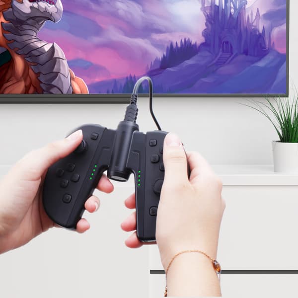 F&G JOY-CONS LADDNINGSSTÄLL 2 GREPP MED 2,5M KABEL