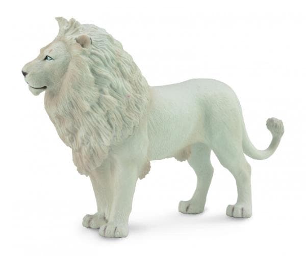 Lion white