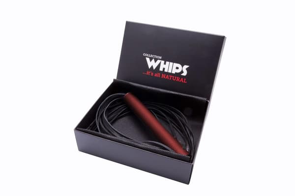 Læderpisk dominans chlosta bdsm bondage