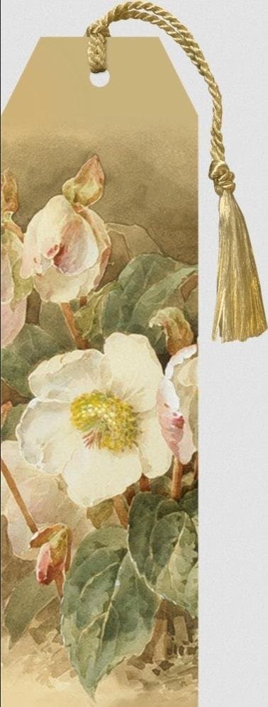 Zladka 101 med indsats Hellebore hvid