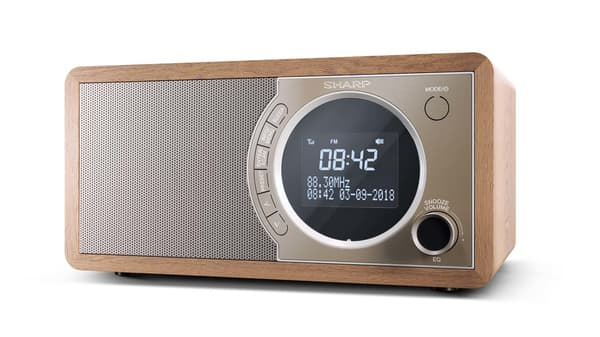 Radio DAB+ BT DR-450 (BR)