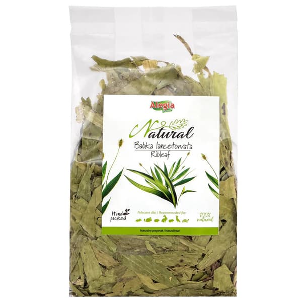 ALEGIA Groblad 100g