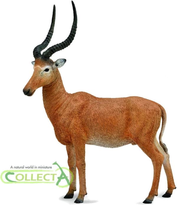 Hirola