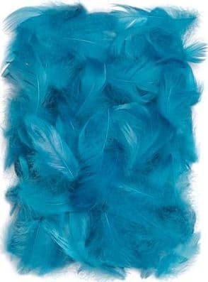 Turkoosit höyhenet 5-12cm 10g