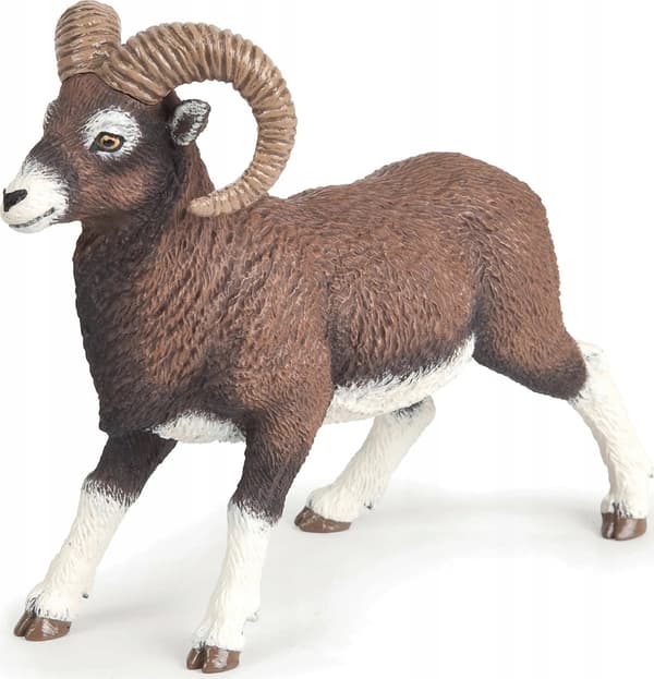 Mouflon