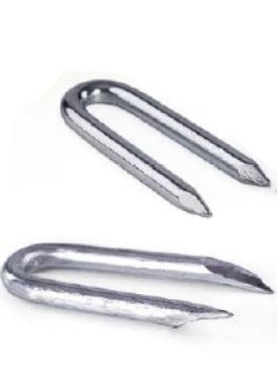 GALVANIZED SKOBLE NAILS 3.0*30MM