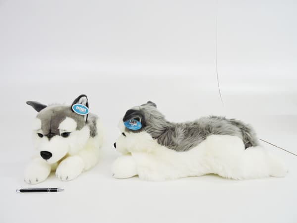*PLUSH-koira, 61 cm, husky, lezacy