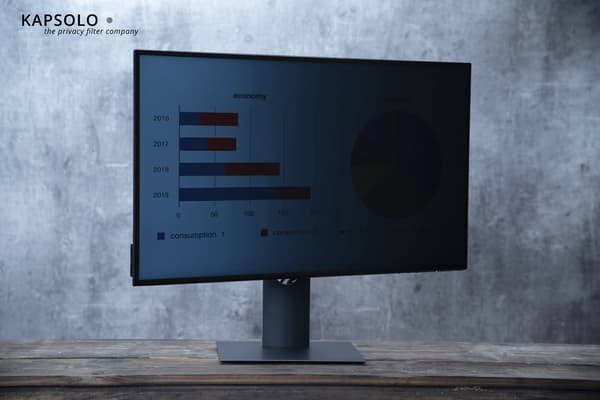 KAPSOLO 2-Way Plug In Privacy Screen f
