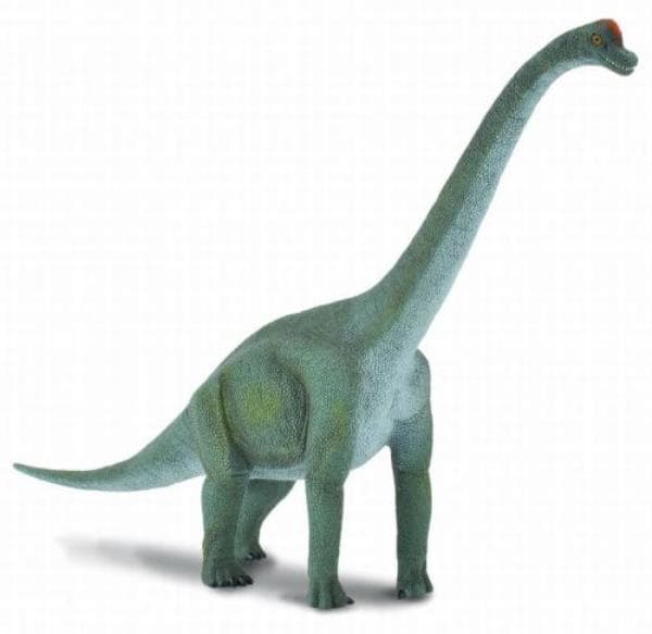 Brachiosaurus dinosaurus. 88121 COLLECTA