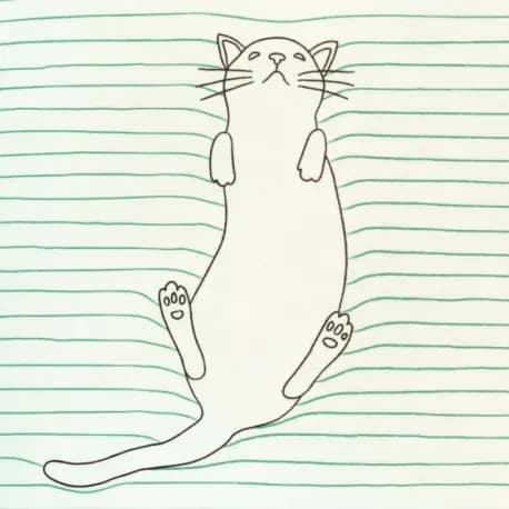 Lille notesbog - Feline Fine (grøn)