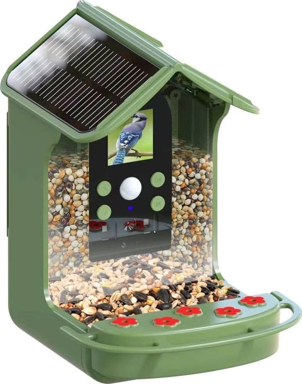 Easypix Bird Cam