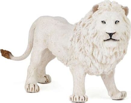 Lion white