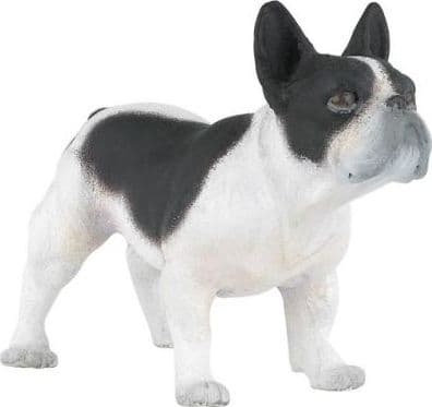 Fransk Bulldog