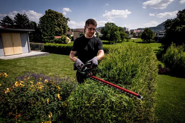 Metabo HS 18 LTX 55 - hæktrimmer - ele