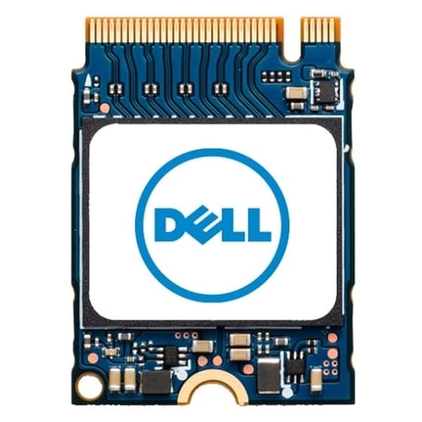 Dell M.2 256 Gt PCI Express